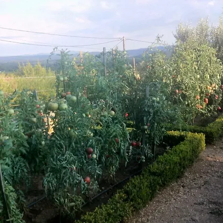 La bastide des anges-2